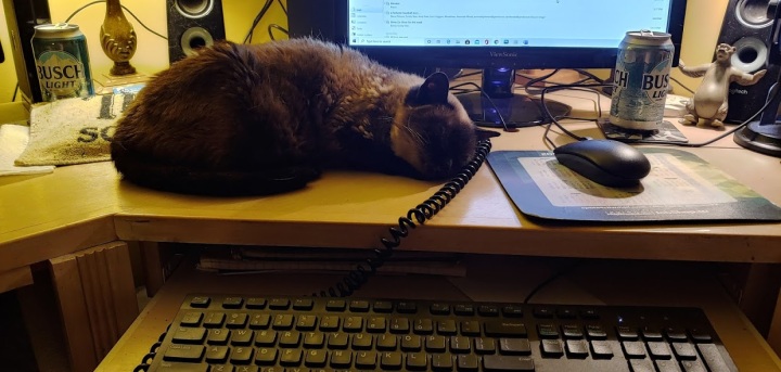Mimi PC desk helping me write